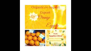 orange Fresh Egyptian Citrus by Organic Company [upl. by Reg]