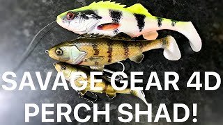 Canal Pike Fishing with the Savage gear 4D Perch Shad First look Review [upl. by Ayian]