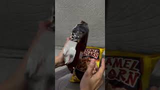 Popcorn asmr yt food ytshorts popcorn asmrsounds asmr [upl. by Aeslahc810]