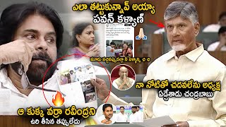 CM Chandra Babu Cried While Showing YCP Social Media Posts On Pawan Kalyan Family  AP Assembly Stv [upl. by Warfore]