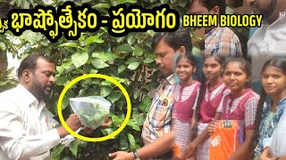 Transpirition in plantsభాష్ఫోత్సేకంRamchanderBheemvamshi [upl. by Haram632]