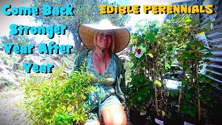 NO ANNUALS Planting Edible Perennials In My Vegetable Garden  Food Forest [upl. by Marigolde]