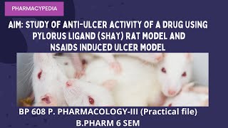 Study of antiulcer activity of a drug using pylorus ligand SHAY rat model and NSAIDS induced ulcer [upl. by Aslin]