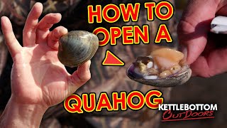 How to Open a Quahog [upl. by Reffineg]