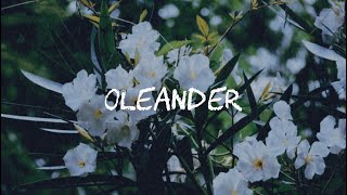 もし君が僕の傍からいなくなったらMother Mother Oleander 和訳 [upl. by Shepard]