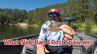 Bluegill Glide bait fishing for Post spawn largemouth bass w Deps Bullshooter 160 [upl. by Damalis]