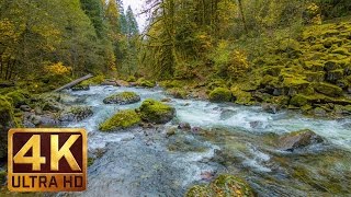 Beautiful Nature Video in 4K Ultra HD  Autumn River Sounds  5 Hours Long [upl. by Nnylkcaj]