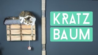 DIY Kratzbaum für die Wand Einfach selber machen [upl. by Annalee902]