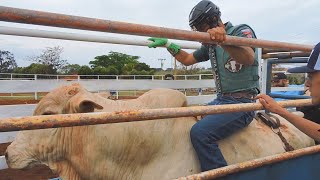 RODEIO EM TOUROS  TREINO NO SÍTIO SANTO ANTÔNIO 2021 AREALVASP [upl. by Yllitnahc]