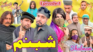 Shabnam Episode 1 New Funny Video Gull Khan Vines [upl. by Salita]