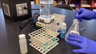 Benedicts Test for Reducing Sugars [upl. by Eiraminot143]