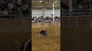 Steer Wrestling cowboy rodeo steerwrestling [upl. by Lsiel]