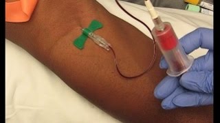 Phlebotomy Procedure Venipuncture with 21G Butterfly education phlebotomy tutorials [upl. by Mcallister]