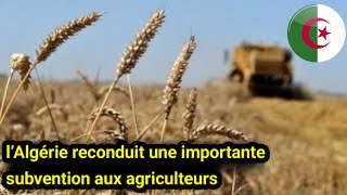 🇩🇿 Soutien renforcé à lagriculture  50  de réduction sur les engrais [upl. by Shaddock]