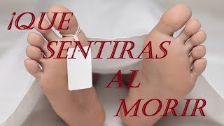 Como se siente Morir│Espacial de Dia de Muertos│Formas de morir│Segun la ciencia│ [upl. by Dinah]