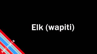 How to Pronounce Elk wapiti [upl. by Ociral]