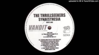 The Thrillseekers  Synaesthesia Paul Van Dyk Remix [upl. by Nilson]