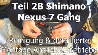 Teil 2B Shimano Nexus 7 Gang Reinigung amp detaillierte Montage Antrieb amp Getriebe [upl. by Shah]