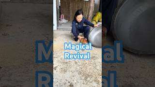 Magic Revival Watch How This NearDead Chicken Comes Back to Life with Just a Pot and Some Taps [upl. by Ytsirhc]