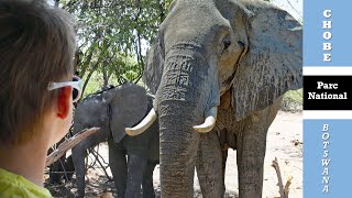 BOTSWANA Une journée de safari pour trois générations [upl. by Gabrielle288]