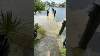 Hurricane Helene Storm Surge North Siesta Saylor Cove [upl. by Sotos950]