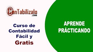 04 Cuentas Contables De Contabilidad ConTabilizalocom [upl. by Rhetta]