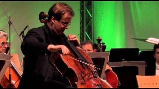 Shostakovich Cadenza Wolfgang Emanuel Schmidt  Cello Akademie Rutesheim [upl. by Asia]