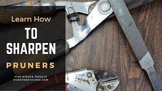 How to Sharpen Pruners  Garden Tool Care [upl. by Akimrehs]