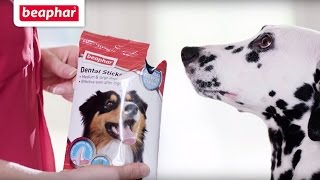 Dental healthcare for dogs  Dental Sticks [upl. by Mikal973]