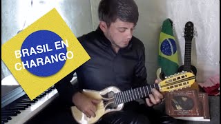 Brasil en Charango Covers Aquarela do Brasi  Garota de Ipanema  Wave Fernando Reche [upl. by Drona]