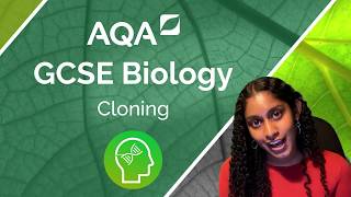 AQA GCSE Biology Cloning [upl. by Elay]