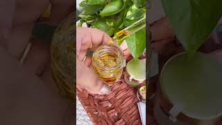 DIY anti ageing moisturiser for baby soft skin😍 diymoisturizer skincare [upl. by Ebeohp]