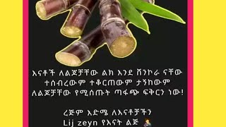 Jamila YouTube 2⃣ جميلهሁለ ገብ ዩቱብ 🧕 is liveስበር መረጃ 💚💛❤️ [upl. by Wearing803]