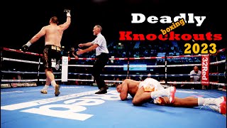 Deadly boxing knockouts September 2023 Canelo Benavidez boxing Joyce Zhang crawford [upl. by Latsyc]