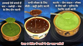 5 मिनिट में बनायें तीन स्पेशल चटनियाँ l MINT CURD GREEN CHUTNEY l CORIANDER CHILLI CHUTNEY [upl. by Alastair]