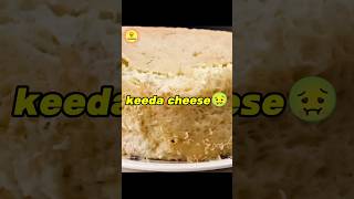 Part 2 of Top 3 weirdest 🤢 food in the world 🌎  casu marzu cheese from Italy facts food science [upl. by Caddric583]