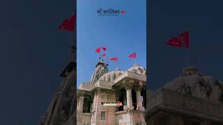 Chittorgarh kalika mata temple shortsfeed song video cmmaharashtra adani jio mukeshambani [upl. by Conlee]