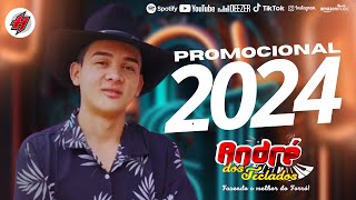 CD Novo André Dos Teclados Promocional 2024  Músicas Novas  Sucesso Novo 2024 [upl. by Nomal738]