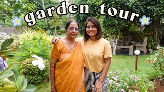 MY HOME GARDEN TOUR 🌿 our houseplant collection  Kritika Goel [upl. by Ybloc]