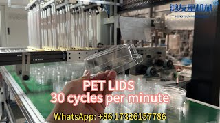 30 Cycles Per Min Produce PET LIDS3 Stations Thermoforming Machine [upl. by Delcine562]