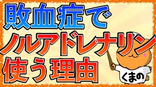 イラストで学ぶ医学！「敗血症の治療でノルアドレナリンが第一選択薬な理由とは？」アドレナリンとノルアドレナリンの違いや作用機序は？ [upl. by Acyssej]