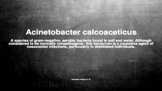 Medical vocabulary What does Acinetobacter calcoaceticus mean [upl. by Aikas861]