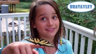 Poisonous Butterflies WK 1324  Bratayley [upl. by Ada]