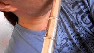 Flauta Selmer Omega em Prata e Ouro [upl. by Norit]