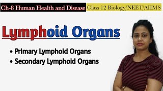 Lymphoid OrgansPrimary amp Secondary Lymphoid Organs Human Health and DiseaseClass 12 Biology NEET [upl. by Annuaerb656]