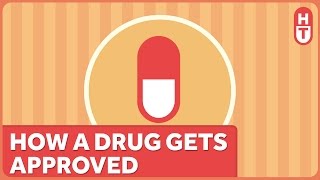 How Does the FDA Approve a Drug [upl. by Ardyth]