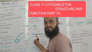 CLASS 11  CYTOSKELETON STRUCTURE AND FUNCTION  CELL BIOLOGY  PART 15 [upl. by Naej]