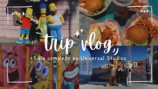 Vlog5  Quinto dia de parque Universal Studios [upl. by Ffirahs264]