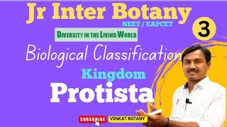 Kingdom Protista  Biological Classification Class 11  NCERT [upl. by Eimia]