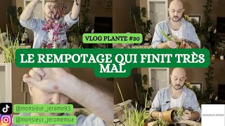 VLOG PLANTE N°30  Ca finit très mal [upl. by Adnopoz964]